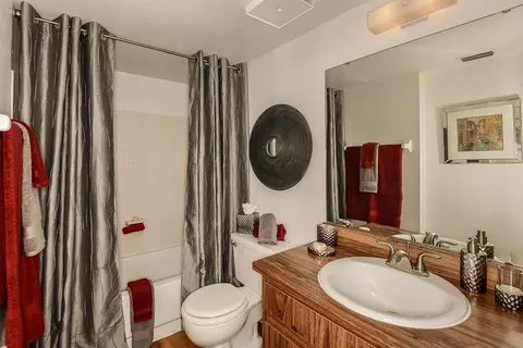 11325 N 50th St, Tampa, FL 33617 photo 24