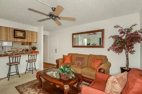 11325 N 50th St, Tampa, FL 33617 photo 21