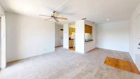 11325 N 50th St, Tampa, FL 33617 photo 105