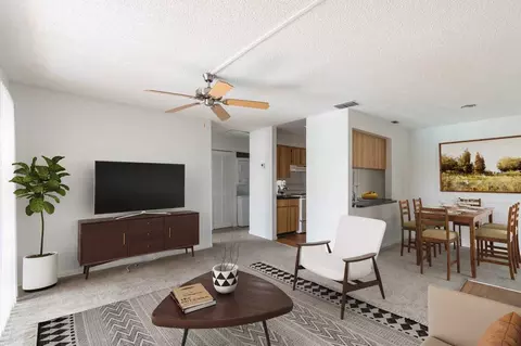 11325 N 50th St, Tampa, FL 33617 photo 5