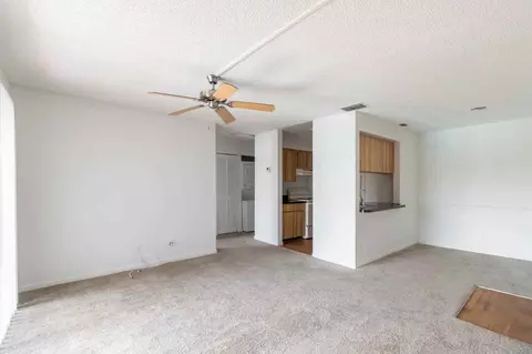 11325 N 50th St, Tampa, FL 33617 photo 49