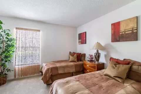 11325 N 50th St, Tampa, FL 33617 photo 39