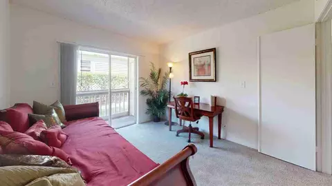 11325 N 50th St, Tampa, FL 33617 photo 91