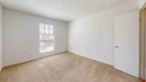 11325 N 50th St, Tampa, FL 33617 photo 104