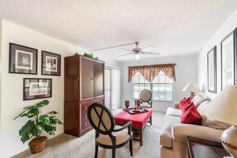 11325 N 50th St, Tampa, FL 33617 photo 31