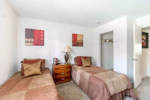 11325 N 50th St, Tampa, FL 33617 photo 41