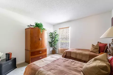 11325 N 50th St, Tampa, FL 33617 photo 40