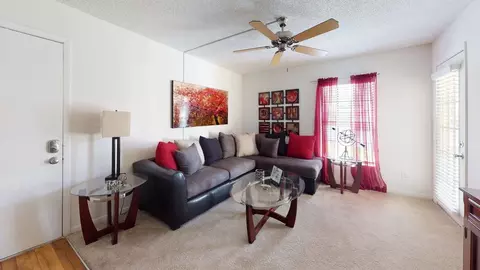 11325 N 50th St, Tampa, FL 33617 photo 102