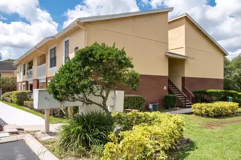 11325 N 50th St, Tampa, FL 33617 photo 61