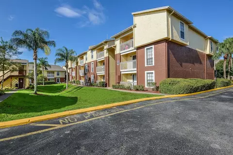 11325 N 50th St, Tampa, FL 33617 photo 17