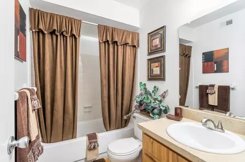 11325 N 50th St, Tampa, FL 33617 photo 38