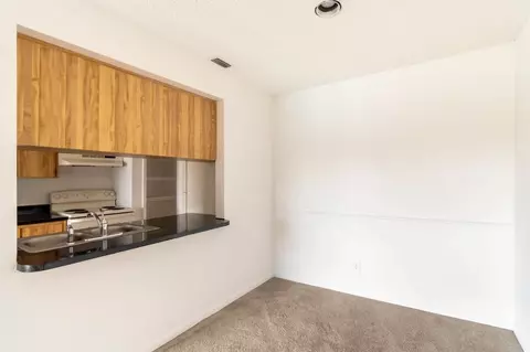 11325 N 50th St, Tampa, FL 33617 photo 47