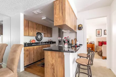 11325 N 50th St, Tampa, FL 33617 photo 34