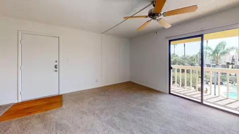 11325 N 50th St, Tampa, FL 33617 photo 106