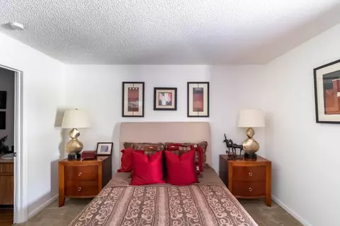 11325 N 50th St, Tampa, FL 33617 photo 37