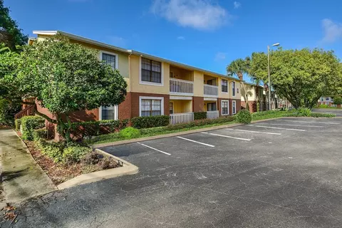 11325 N 50th St, Tampa, FL 33617 photo 18