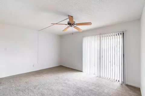 11325 N 50th St, Tampa, FL 33617 photo 48