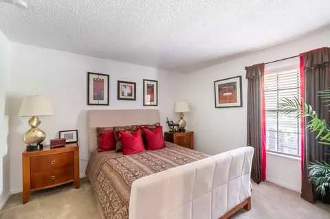 11325 N 50th St, Tampa, FL 33617 photo 35