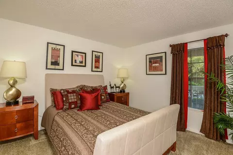 11325 N 50th St, Tampa, FL 33617 photo 23
