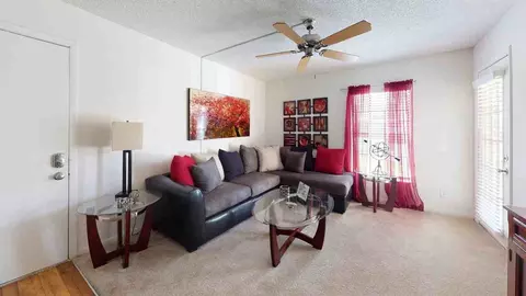 11325 N 50th St, Tampa, FL 33617 photo 102