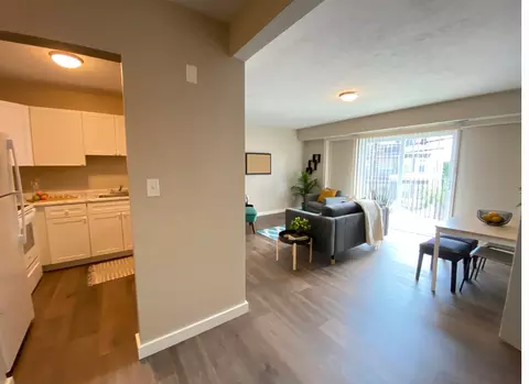 56 Bowdoin Ave, Boston, MA 02121