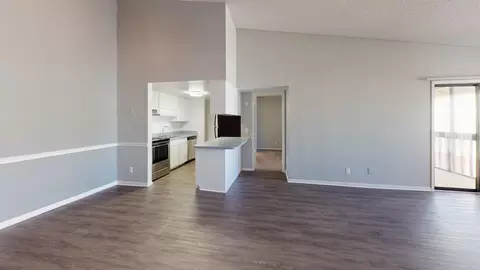 9101 Avenue Club Dr, Temple Terrace, FL 33637 photo 39