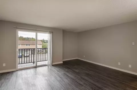 9556 Sand Point Way NE, Seattle, WA 98115 photo 3