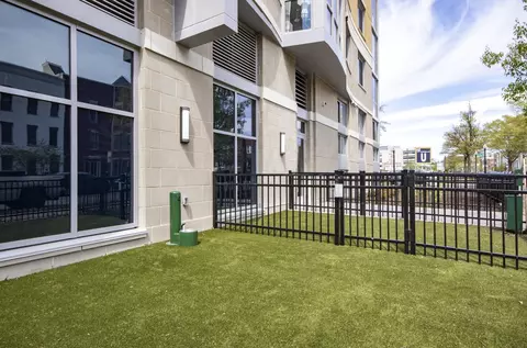 1100 2nd Pl SE, Washington, DC 20003 photo 19
