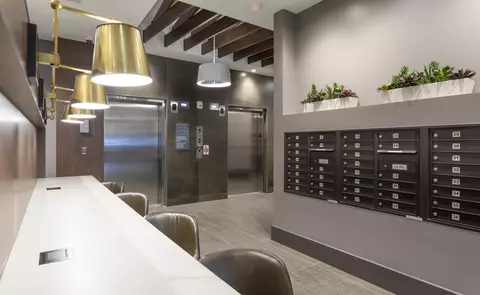 1100 2nd Pl SE, Washington, DC 20003 photo 39