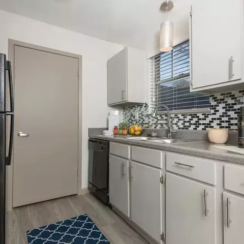 1516 Arbor Town Cir, Arlington, TX 76011 photo 4