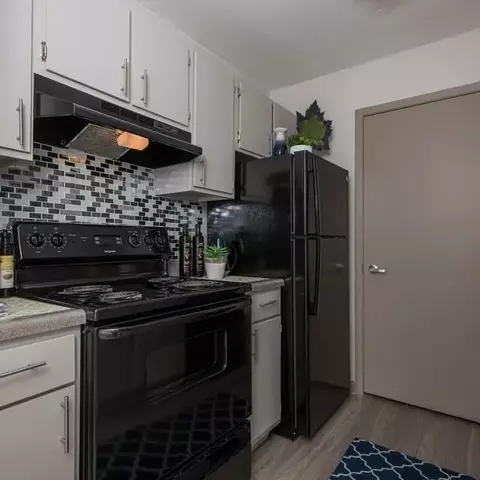 1516 Arbor Town Cir, Arlington, TX 76011 photo 5