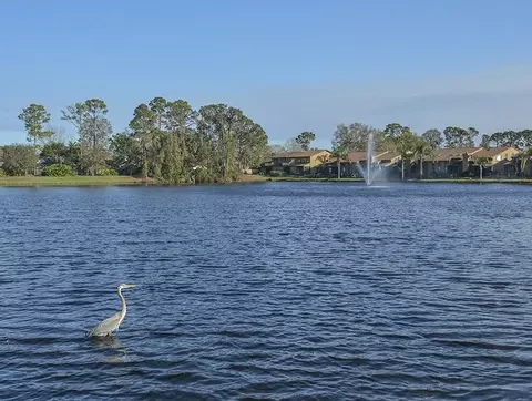 132 Forest Lake Blvd, Daytona Beach, FL 32119 photo 25
