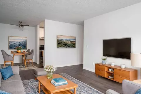 13831 NE 8th St, Bellevue, WA 98005
