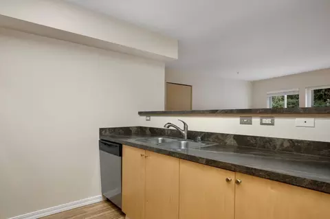 219 E Garfield St, Seattle, WA 98102 photo 25