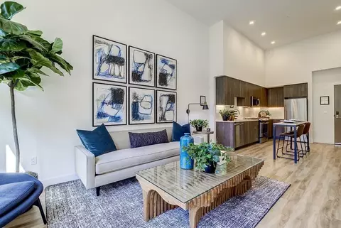 1030 Castro St, Mountain View, CA 94040 photo 37