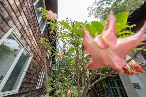 2731 Durant Ave, Berkeley, CA 94704 photo 8