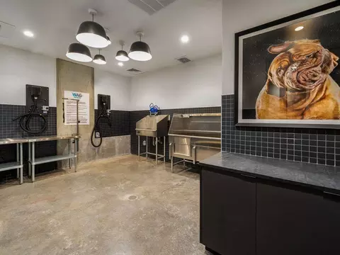 200 E 7th Ave, Denver, CO 80203 photo 38