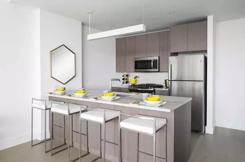 86 Fleet Pl, Brooklyn, NY 11201 photo 40