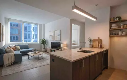 86 Fleet Pl, Brooklyn, NY 11201 photo 38
