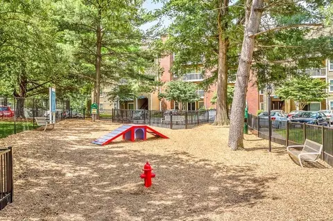 9806 Mahogany Dr, Gaithersburg, MD 20878 photo 42