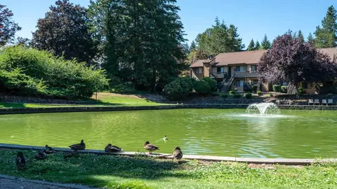 4277 148th Ave NE, Bellevue, WA 98007 photo 28