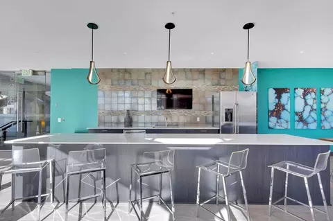 1000 N Grant St, Denver, CO 80203 photo 63