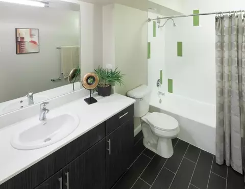 1000 N Grant St, Denver, CO 80203 photo 21