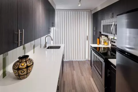 1000 N Grant St, Denver, CO 80203 photo 3