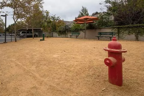 2000 Shoreline Loop, San Ramon, CA 94582 photo 53