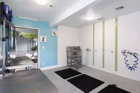 2000 Shoreline Loop, San Ramon, CA 94582 photo 38