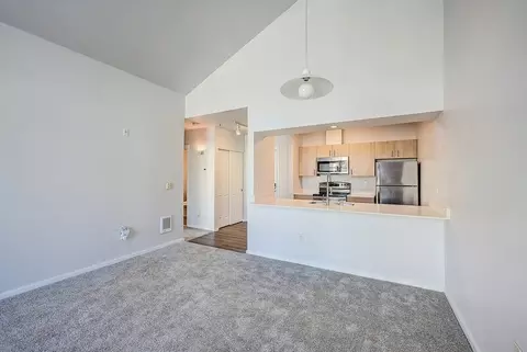 136 102nd Ave SE, Bellevue, WA 98004 photo 19