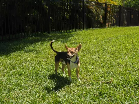 3207 Rosebud Ln, Winter Park, FL 32792 photo 33