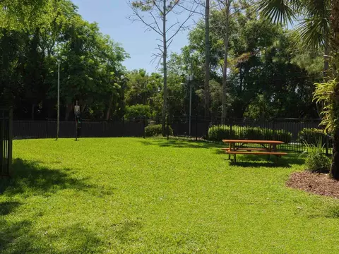 3207 Rosebud Ln, Winter Park, FL 32792 photo 31