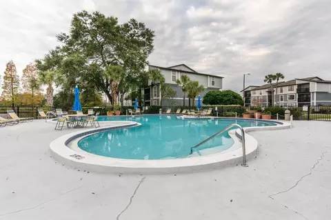 3404 Magenta Way, Bloomingdale, FL 33511 photo 60
